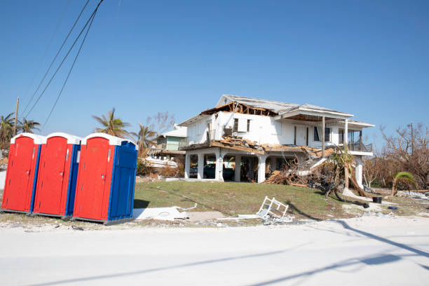Best Tree Removal  in Alamo, TN